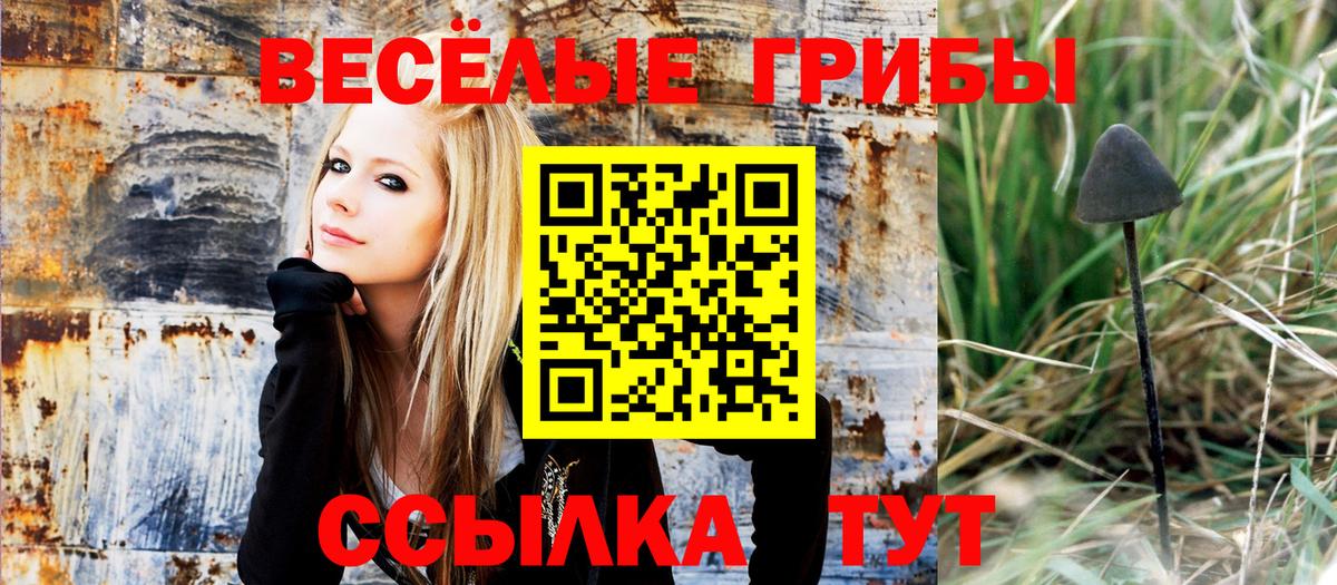 Галлюциногенные грибы MAGIC MUSHROOMS Новоалександровск