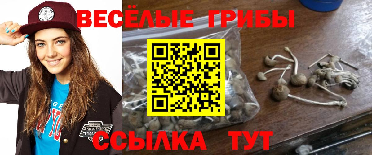 Новоалександровск  Псилоцибиновые грибы Psilocybe  Галлюциногенные грибы мицелий  где продают наркотики  Вход с VPN 